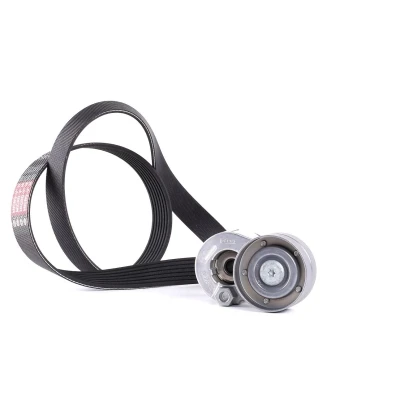 Abbildung von GATES EuroGrip K017PK1125 Keilrippenriemensatz RENAULT: SCENIC 3, MEGANE 3 Grandtour, 2