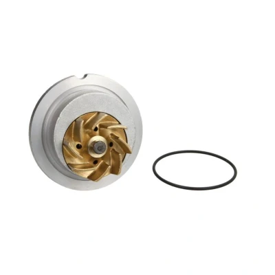Abbildung von HEPU P367 Wasserpumpe 23 mit Dichtung mechanisch