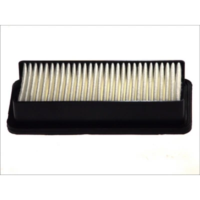 Abbildung von FILTRON AP 122/6 Luftfilter 50 133 263 Filtereinsatz KIA: RIO 2, HYUNDAI: ACCENT 3