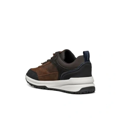 Abbildung von Geox Sterratrail GRIP Sneaker low, Herren, Größe: 43, Coffee Leder/synthetik