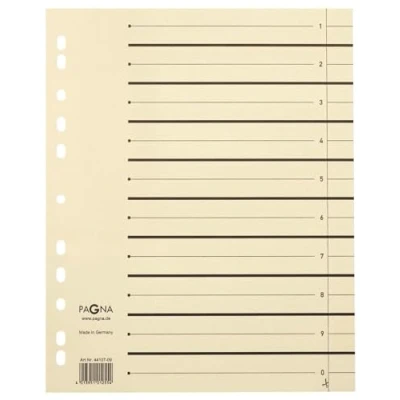Abbildung von PAGNA 44108 09 Trennblätter 300x245x27 chamois 230g/qm, Inh.100