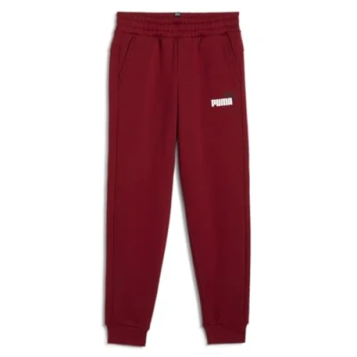 Abbildung von PUMA ESS+ 2 Col Logo Pants FL cl B, Gestrickte Hosen, 586988