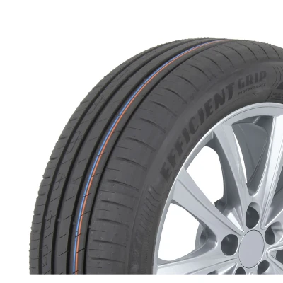 Abbildung von Sommerreifen GOODYEAR Efficientgrip Performance 205/55R16 91H