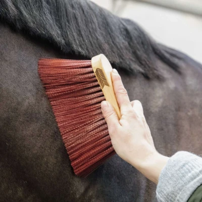 Abbildung von Grooming Deluxe by Kentucky Bürste Middle Long Braun