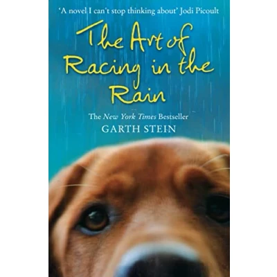 Abbildung von Art Of Racing In The Rain: A Novel