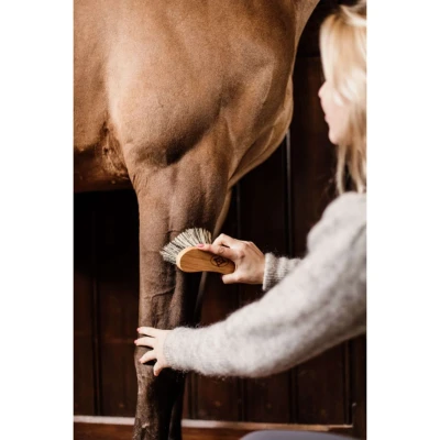 Abbildung von Grooming Deluxe by Kentucky Bürste Mittel Hart