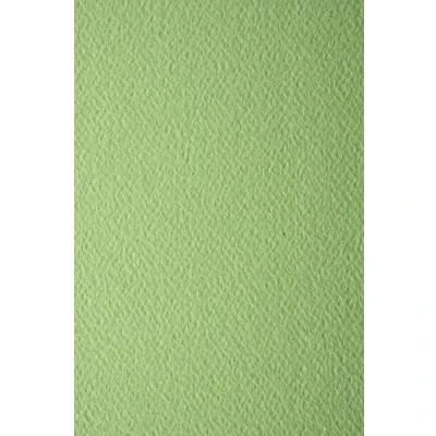 Abbildung von Netuno 10x Tonkarton Pistazien Grün einseitig strukturiert DIN A4 210x 297 mm 220g Prisma Pistacchio Präge Karton bunt Strukturkarton für Weihnachten Hochzeit Geburtstag Einladungen