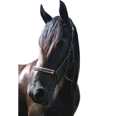 Abbildung von F.R.A. Reit Ausbildungshalfte Pablo Profi Syst 4 Ruchi Collection Nylon/Leder Schwarz/Weiß Pony