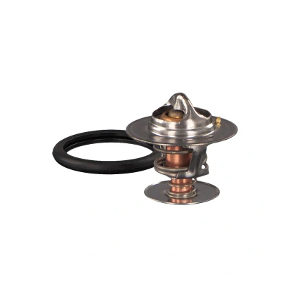 Abbildung von FEBI BILSTEIN 18979 Kühlwasserthermostat 92 mit Dichtring FORD: Transit Connect Mk1 Van, Focus Hatchback, Escort 6