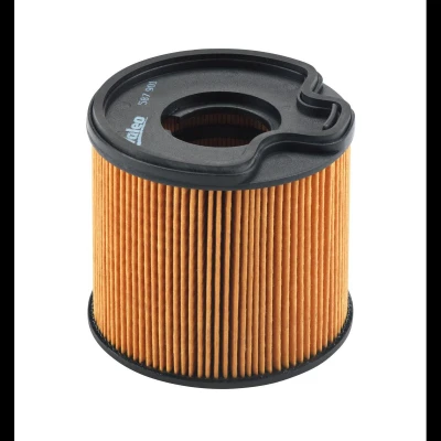 Abbildung von VALEO 587901 Kraftstofffilter Filtereinsatz PEUGEOT: 206 Hatchback, 307 SW, 607 Saloon, CITROËN: Xsara Picasso, C5 I Estate