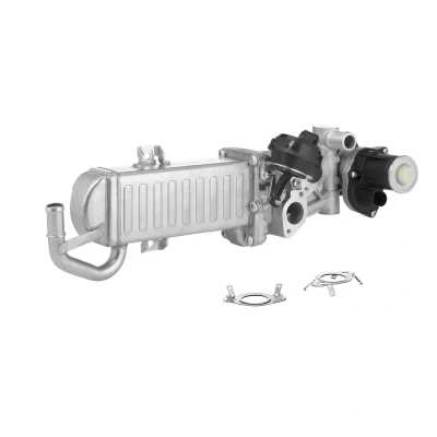 Abbildung von WAHLER 710861D/1 AGR Modul elektrisch mit Kühler, Dichtungen VOLKSWAGEN: Golf 6, Touran I, Sharan II, SEAT: Alhambra Altea