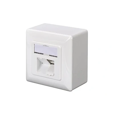 Abbildung von DIGITUS Anschlussdose Cat 5e 2 Port RJ45 Aufputz Netzwerk Dose Zuführung Horizontal Designfähig Reinweiß