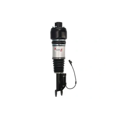 Abbildung von Magnum Technology APM002MT Luftfederbein vorne links MERCEDES BENZ: E Class T modell, CLS Coupe