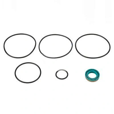 Abbildung von DT Spare Parts 4.90064 Dichtungssatz, Hydraulikpumpe