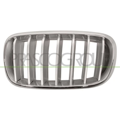 Abbildung von BLIC 6502 07 00969955P Kühlergrill vorne links titan, chrom BMW: X5