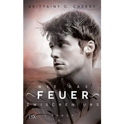 Abbildung von Wie das Feuer zwischen uns: Roman (Romance Elements, Band 2)