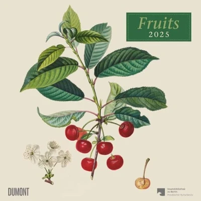 Abbildung von Fruits 2025 ¿ Broschürenkalender mit historischen Abbildungen alter Obstsorten von Pierre Antoine Poiteau Format 30 x cm