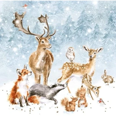 Abbildung von Wrendale Designs by Hannah Dale „Winter Wonderland“ Weihnachtskarten Schachtelset 8 Stück