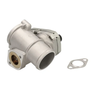 Abbildung von NRF 48667 AGR Ventil mit Dichtungen JAGUAR: X Type Saloon, FORD: MONDEO 3