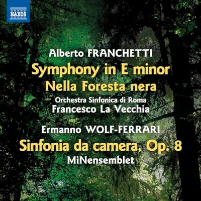 Abbildung von Symphony in E minor