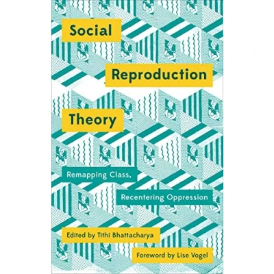 Abbildung von Social Reproduction Theory: Remapping Class, Recentering Oppression (Mapping Theory)