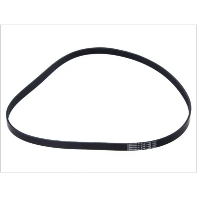Abbildung von CONTITECH 6PK1495 Keilrippenriemen 1495 6 MITSUBISHI: L200 / Triton IV Pickup