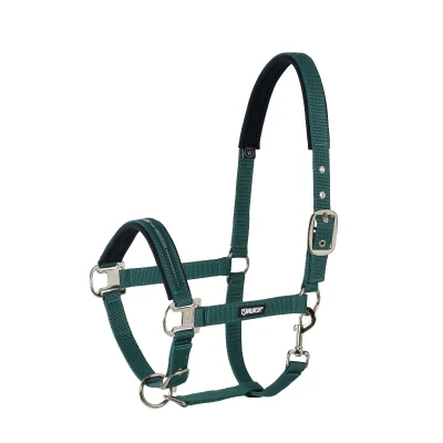Abbildung von Eskadron Halfter Pin Buckle Racinggreen Pony
