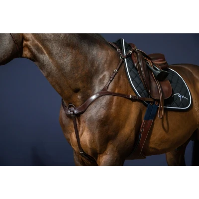 Abbildung von Dyon Anatomical Breastplate US Jumping Collection