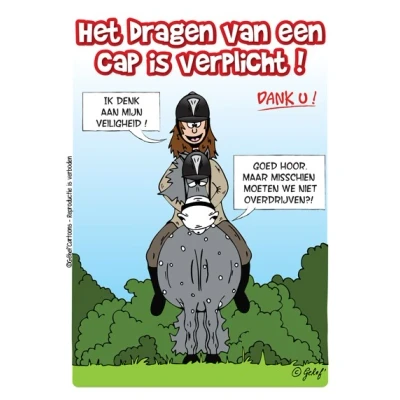 Abbildung von HB Ruitersport Boxenschild Port du casque