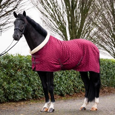Abbildung von HB Showtime Showdecke Velvet Spring Burgunderrot 165/215