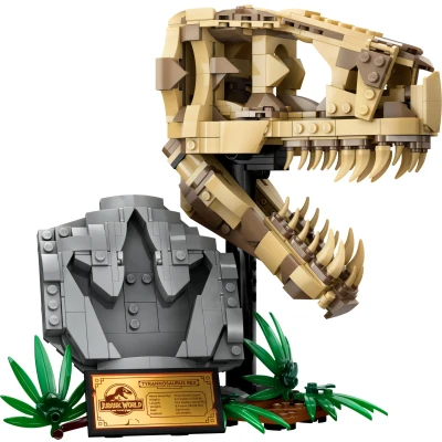 Abbildung von LEGO Jurassic World 76964 Dinosaurier Fossilien: T. rex Kopf