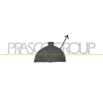 Abbildung von PRASCO MN3041236 Klappe, Abschlepphaken vorne