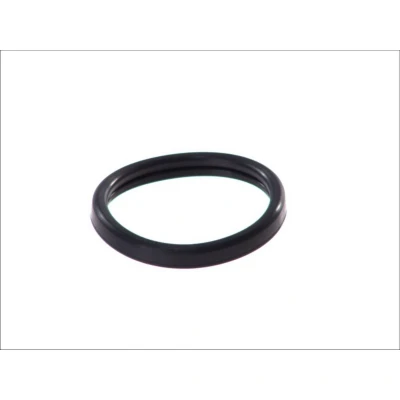 Abbildung von TOPRAN 302 261 Dichtung, Thermostat FORD: FIESTA 5