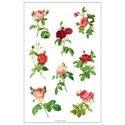 Abbildung von Susy Card 11259421 Sticker natur 1.8, FSC, 3 Bogen selbstklebend