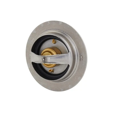 Abbildung von HELLA 8MT 358 083 101 Kühlwasserthermostat 81 mit Dichtungen