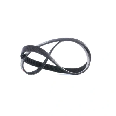 Abbildung von GATES 6PK1030SF Keilrippenriemen 1030 6 PA (Polyamid), EPDM (Ethylen Propylen Dien Kautschuk) FleetRunner PowerBand FORD: MONDEO 4, FIESTA