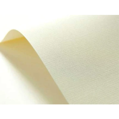 Abbildung von Netuno 20x Struktur Karton Creme Raster Prägung DIN A4 21 x 29,7 cm 246g Elfenbeinkarton Chamois bedruckbar für Visitenkarten Einladungs Karten Hochzeit Geburtstag Weihnachten
