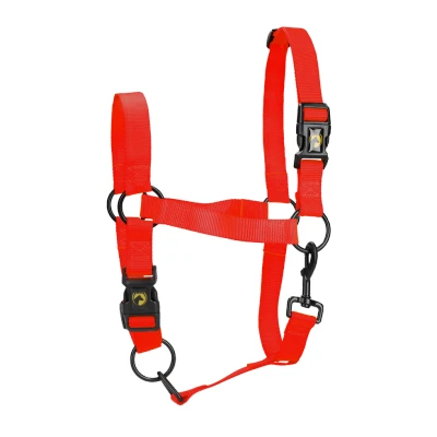 Abbildung von Excellent Horse Essential Halfter M Rot