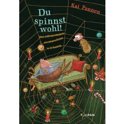 Abbildung von Du spinnst wohl!: Eine außergewöhnliche Adventsgeschichte in 24 Kapiteln (Die Abenteuer von Bisy und Karl Heinz, Band 1)