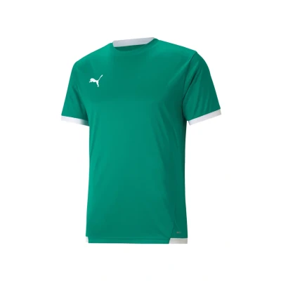 Abbildung von puma Herren Teamliga Jersey Shirt, Pepper Green White, XXL EU
