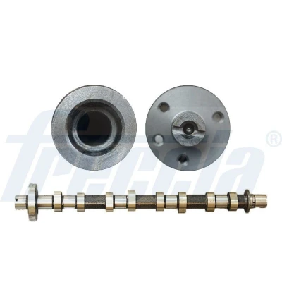 Abbildung von FRECCIA CM05 2194 Nockenwelle Auslassseite