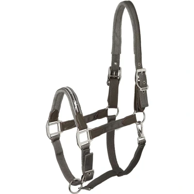 Abbildung von Schockemöhle Halfter Memphis Safety Nylon Anthra Pony
