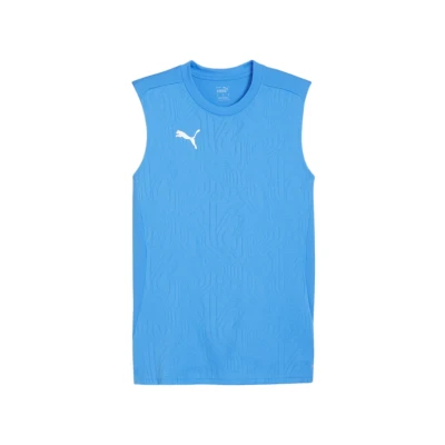 Abbildung von PUMA teamFINAL Training Jersey SL T Stück,