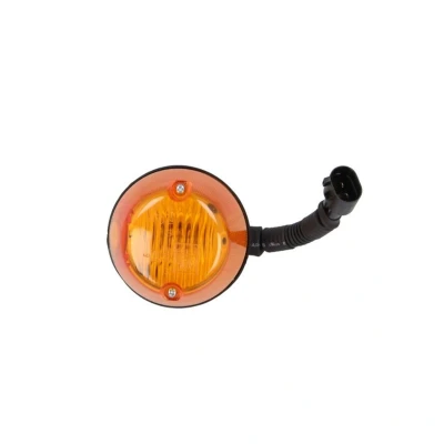 Abbildung von DT Spare Parts 3.31054 Blinker seitlicher Anbau P21W 24 MAN: TGA