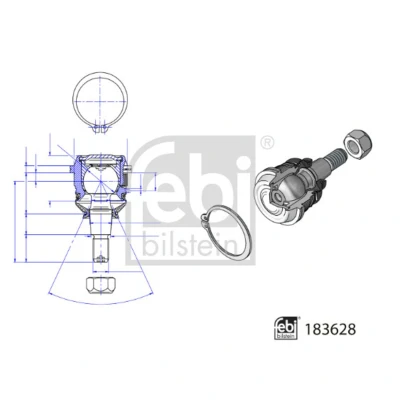 Abbildung von FEBI BILSTEIN 183628 Traggelenk unten, Vorderachse links, rechts für Querlenker 95 HYUNDAI: i20 II Hatchback
