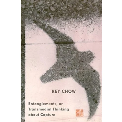 Abbildung von Entanglements, or Transmedial Thinking about Capture (A John Hope Franklin Center Book)
