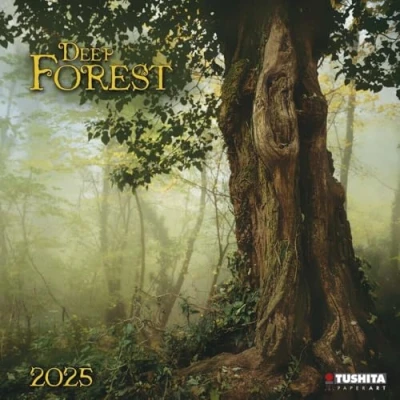 Abbildung von Deep Forest 2025: Kalender 2025 (Wonderful World)