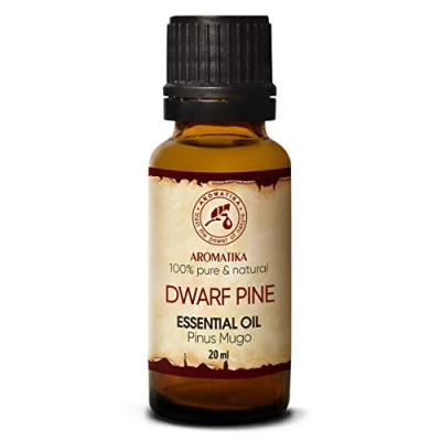 Abbildung von Latschenkiefer Öl 20ml Pinus Mugo Latschenkieferöl Sauna Kosmetik Aromatherapie Diffusoren Haut &amp; Haare Duftlampe Raumduft Gute Laune Weihnachtsbaumduft