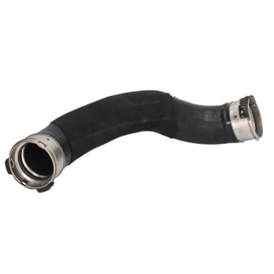Abbildung von THERMOTEC DCB120TT Ladeluftschlauch AEM (Ethylen Acrylat Kautschuk) BMW: X1, 2 Gran Tourer