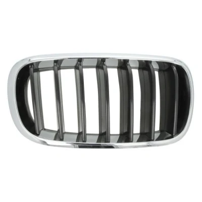 Abbildung von BLIC 6502 07 00969922P Kühlergrill vorne rechts chrom, schwarz BMW: X5